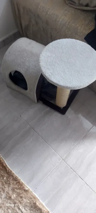 Casetta per gatti con tiragraffi