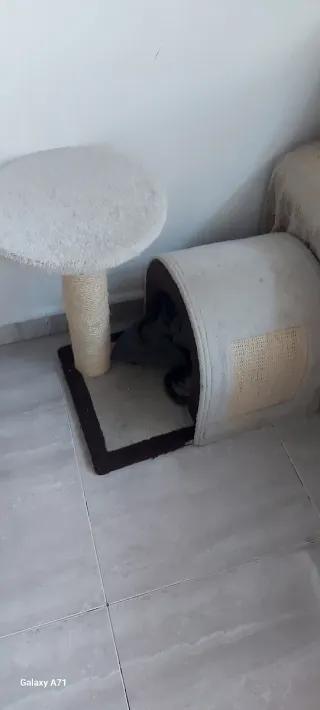 Casetta per gatti con tiragraffi