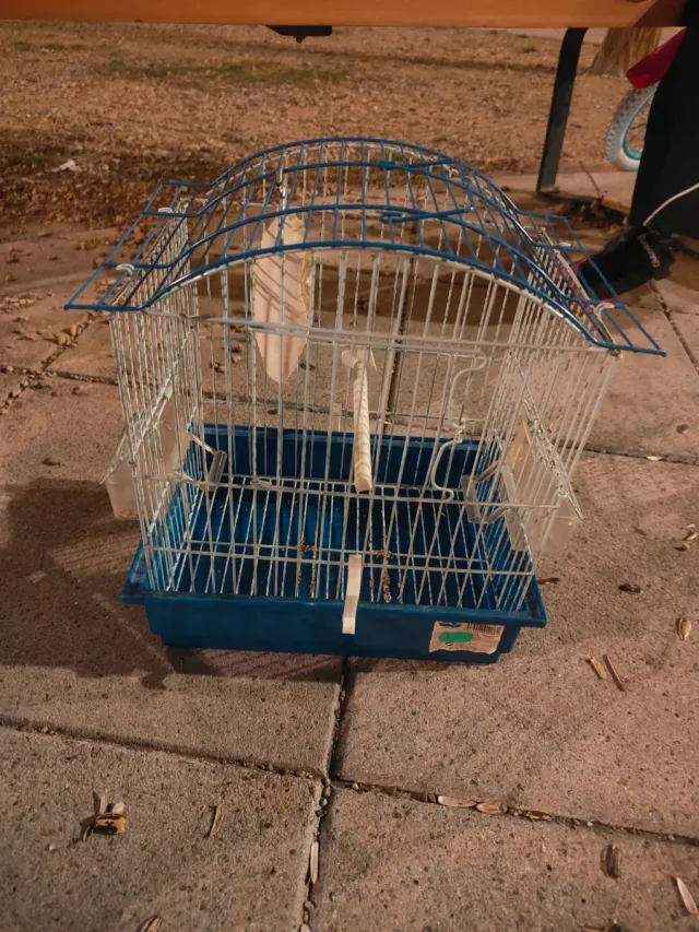 Jaula para pájaros azul y blanca