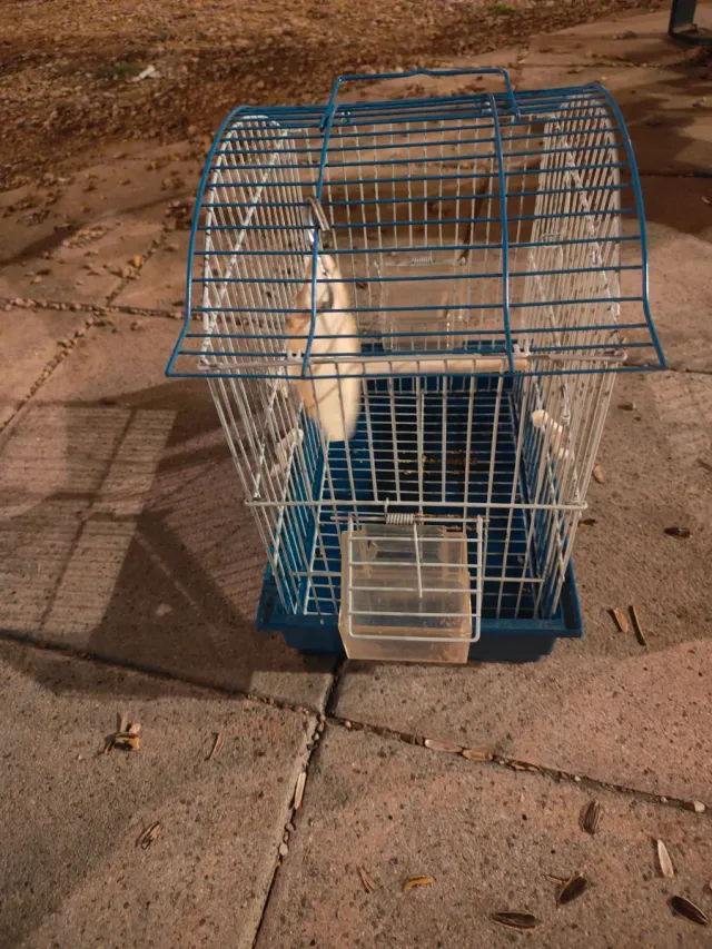 Jaula para pájaros azul y blanca