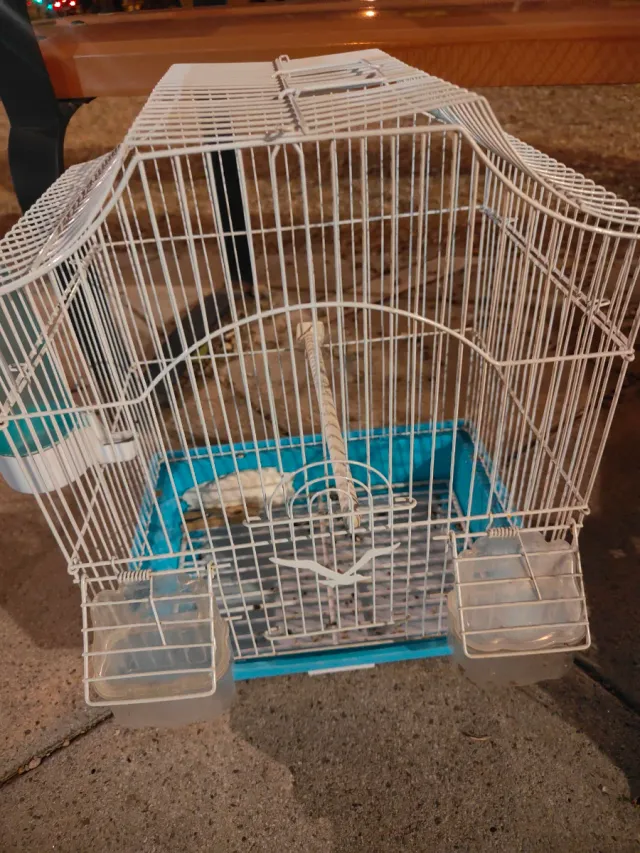 Jaula para pájaros blanca y azul