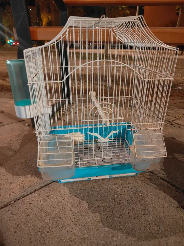 Jaula para pájaros blanca y azul