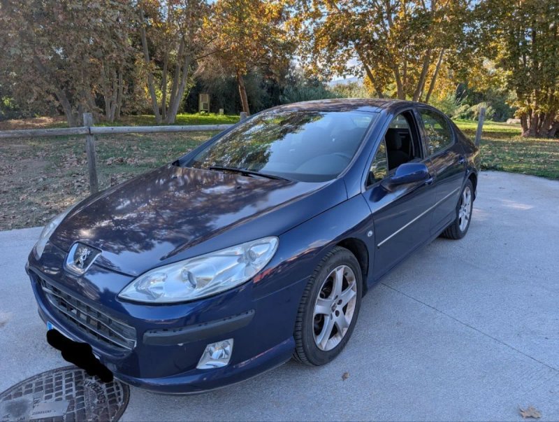 Peugeot 407 2007 - foto 1