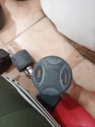 Mancuernas 6 kg (par)