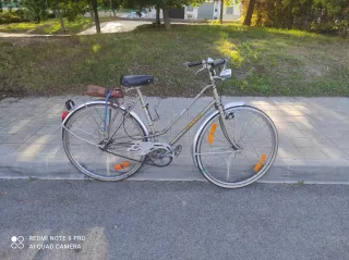 Bicicleta Clásica Vintage