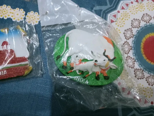 7 imanes de la India Relieve ñ