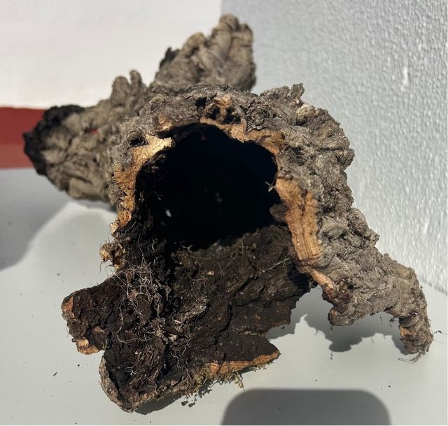 Corteza de alcornoque natural