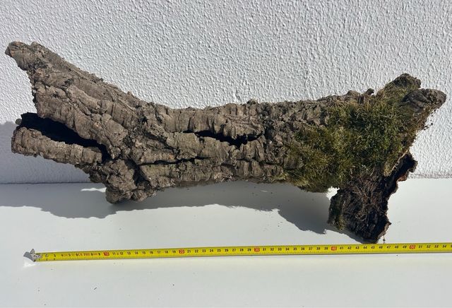 Corteza de alcornoque natural