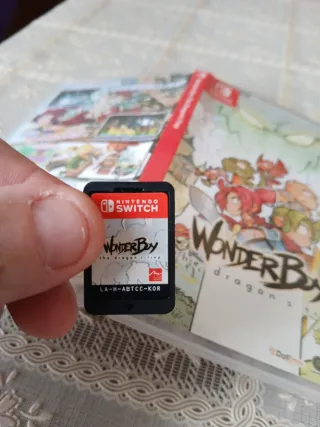 Wonder Boy: the dragon s trap Switch