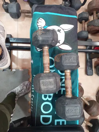 Mancuernas 12.5 kg (par)