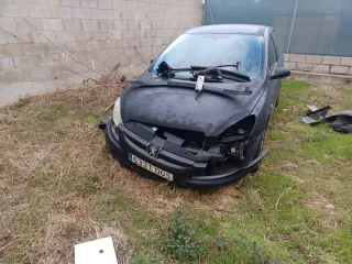 Peugeot 307 2005