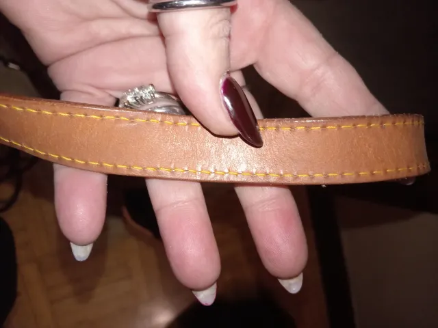 Borsa Alviero Martini 1a Classe