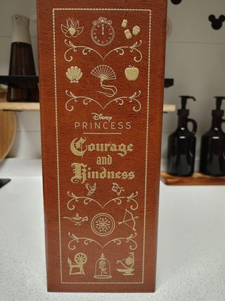 Joyero libro Disney Princess