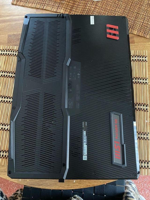 MSI Raider GE77HX 12UHS-019ES