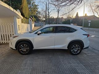 Lexus NX300h 2019
