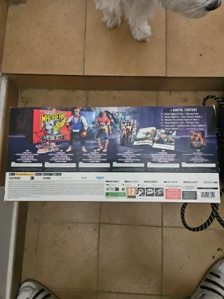 Street Fighter 6 Coleccionista PS5 Precintado