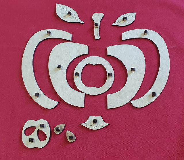 Puzzle in legno Mela nomenclatura montessori