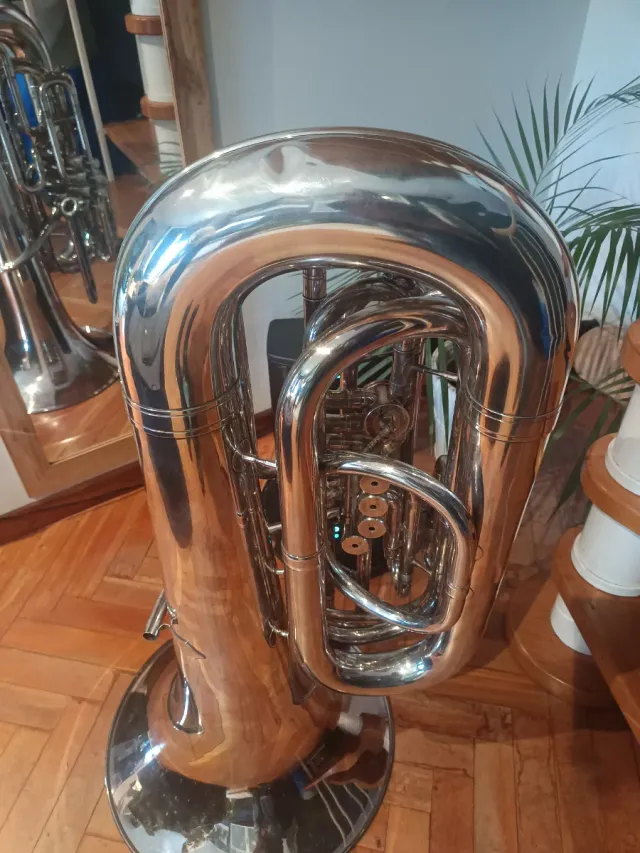Tuba Willson
