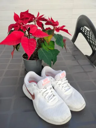 Deportivas Nike Mujer Blancas y Doradas