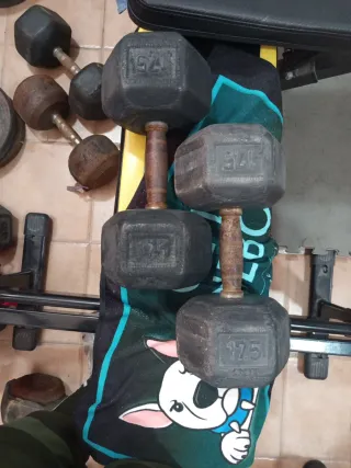 Mancuernas 17.5 kg (par)