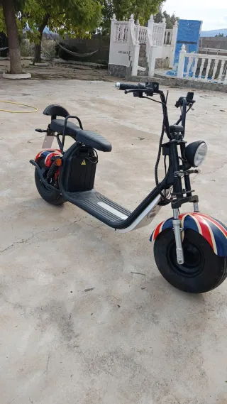 Piezas Ciclomotor Eléctrico Citycoco