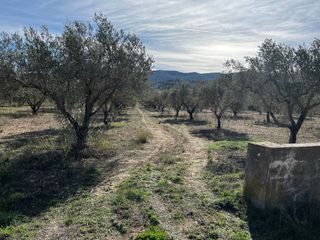 Terreno en zona La Cava (Onil)