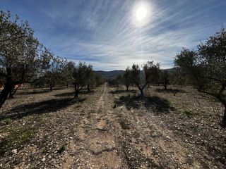 Terreno en zona La Cava (Onil)