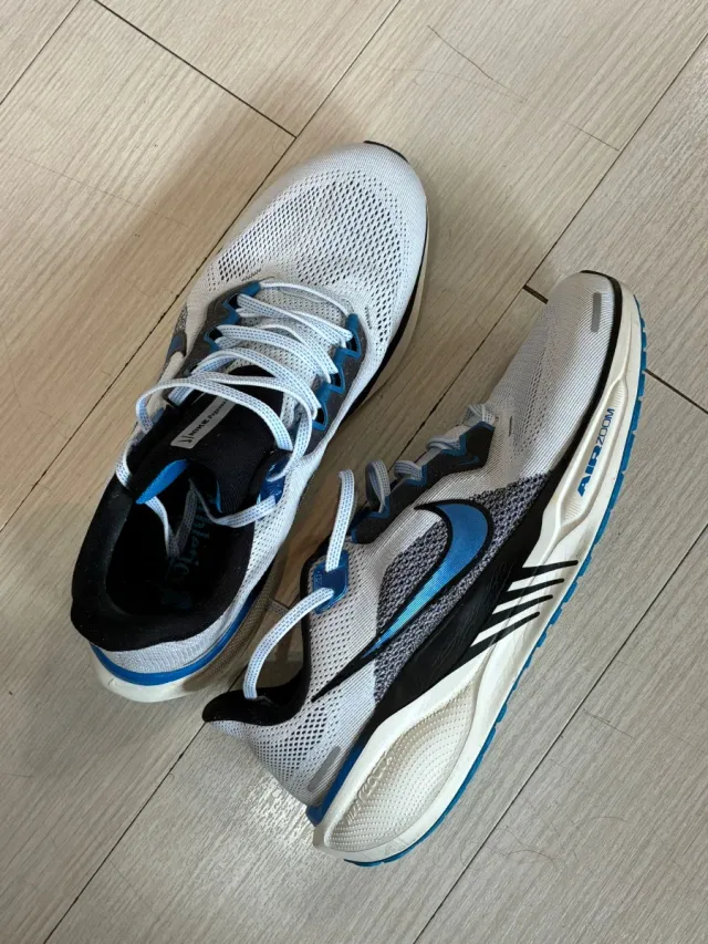 Zapatillas Nike pegasus 41
