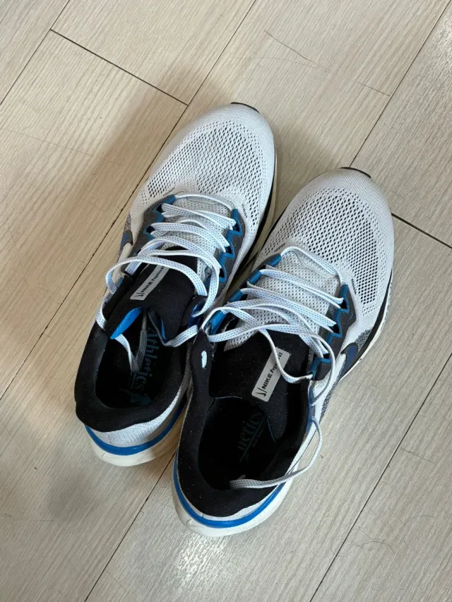 Zapatillas Nike pegasus 41