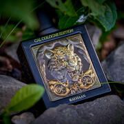 Perfume Rayhaan para Hombre