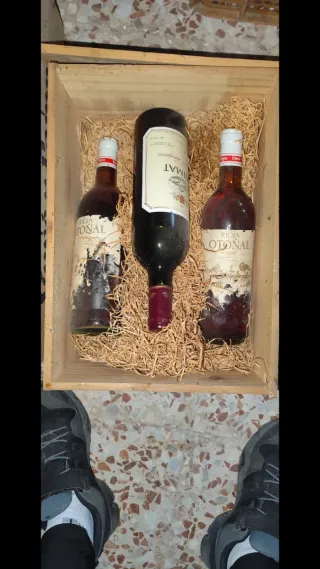 Bottiglie di Rioja Antiguo in Scatola Originale