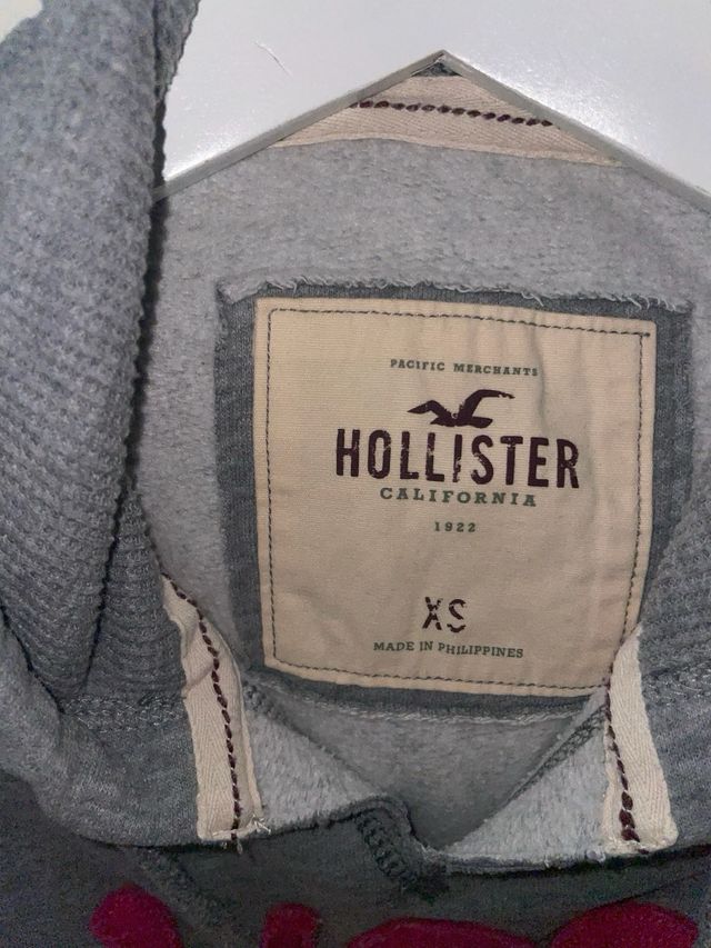 Felpa Hollister Y2K Grigia con Logo Rosa