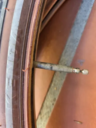 Guardabarros y Ruedas Orbea Carpe