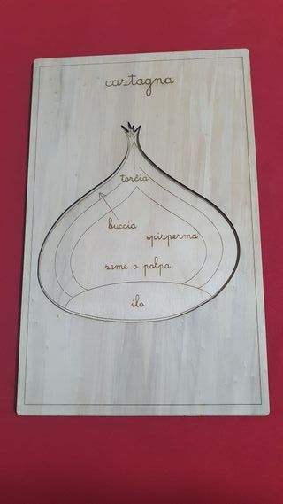 puzzle incastri castagna nomenclatura montessori