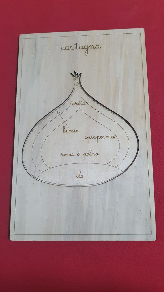 puzzle incastri castagna nomenclatura montessori