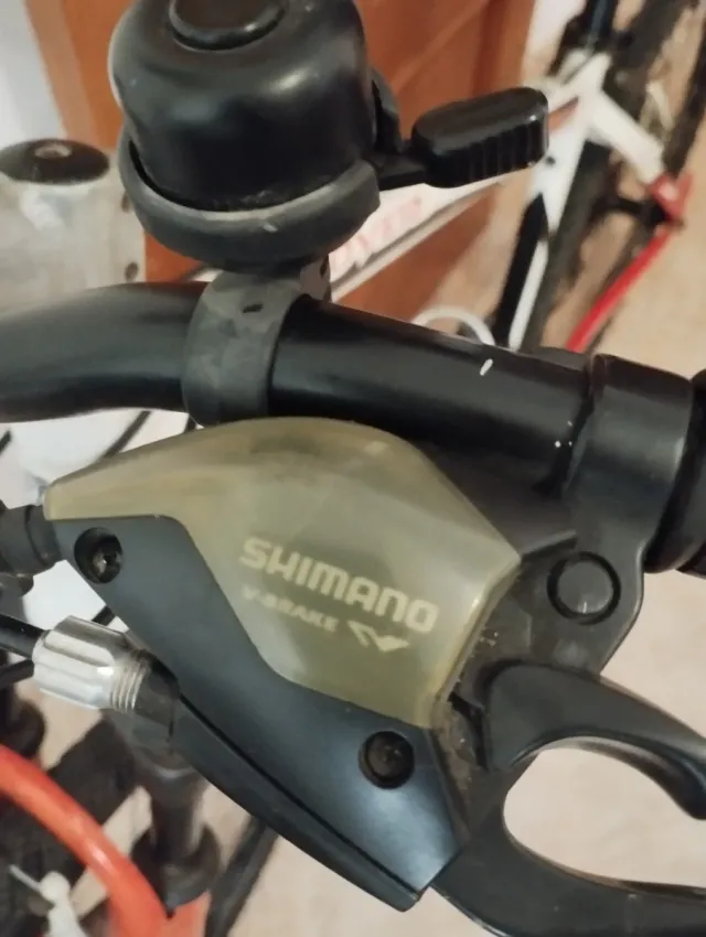 Bicicleta de Montaña Adulto