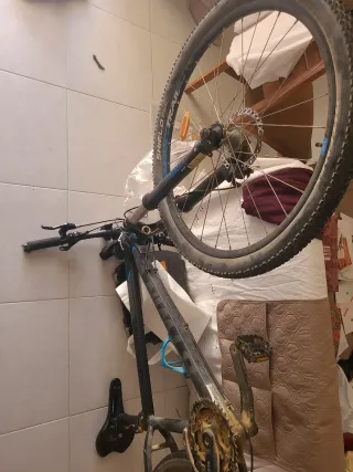 Bicicleta de montaña