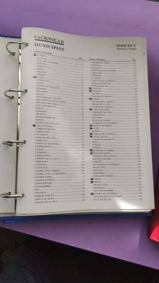 Libros Los Pueblos de León (2 tomos)