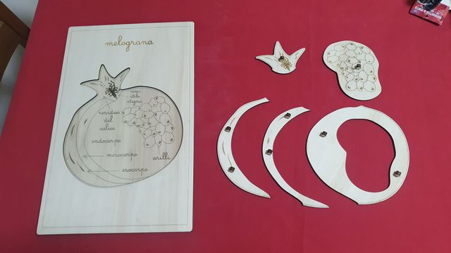 Puzzle Melograna in Legno nomenclatura montessori