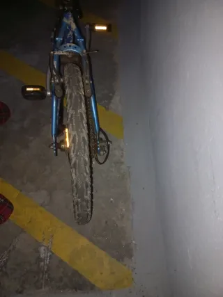 Bicicleta infantil 20 pulgadas