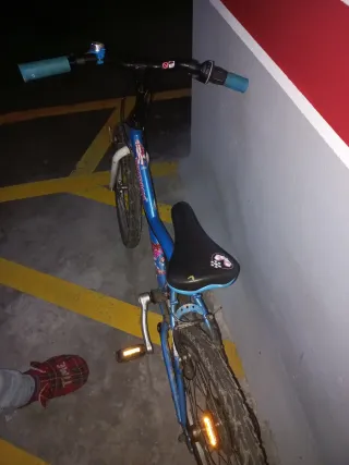 Bicicleta infantil 20 pulgadas