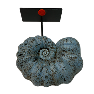 Réplica Amonita Azul Única