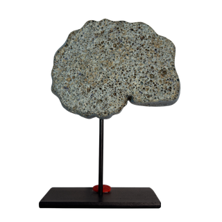 Réplica Amonita Azul Única