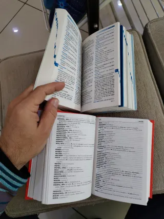 Diccionario Español Francés