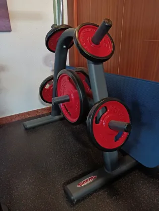 Mueble para discos de pesas con discos