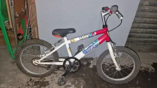 Bici infantil Trotter