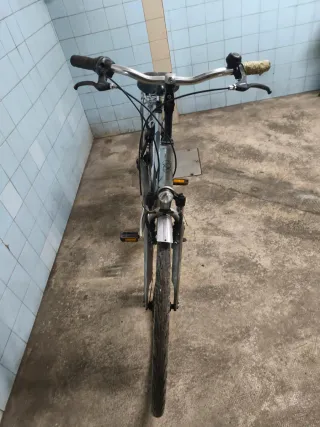 Bicicleta Minerva