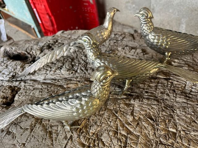 Faisanes de alpaca, set de 6 figuras