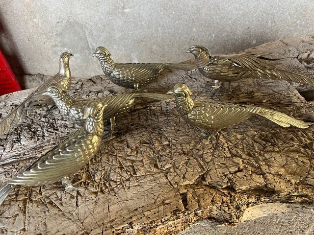 Faisanes de alpaca, set de 6 figuras