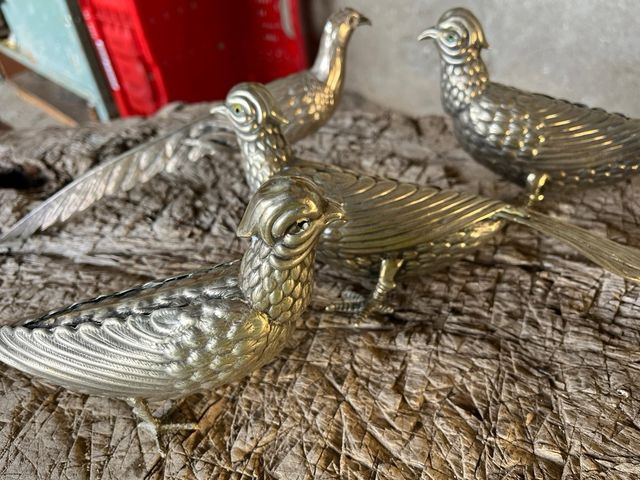 Faisanes de alpaca, set de 6 figuras